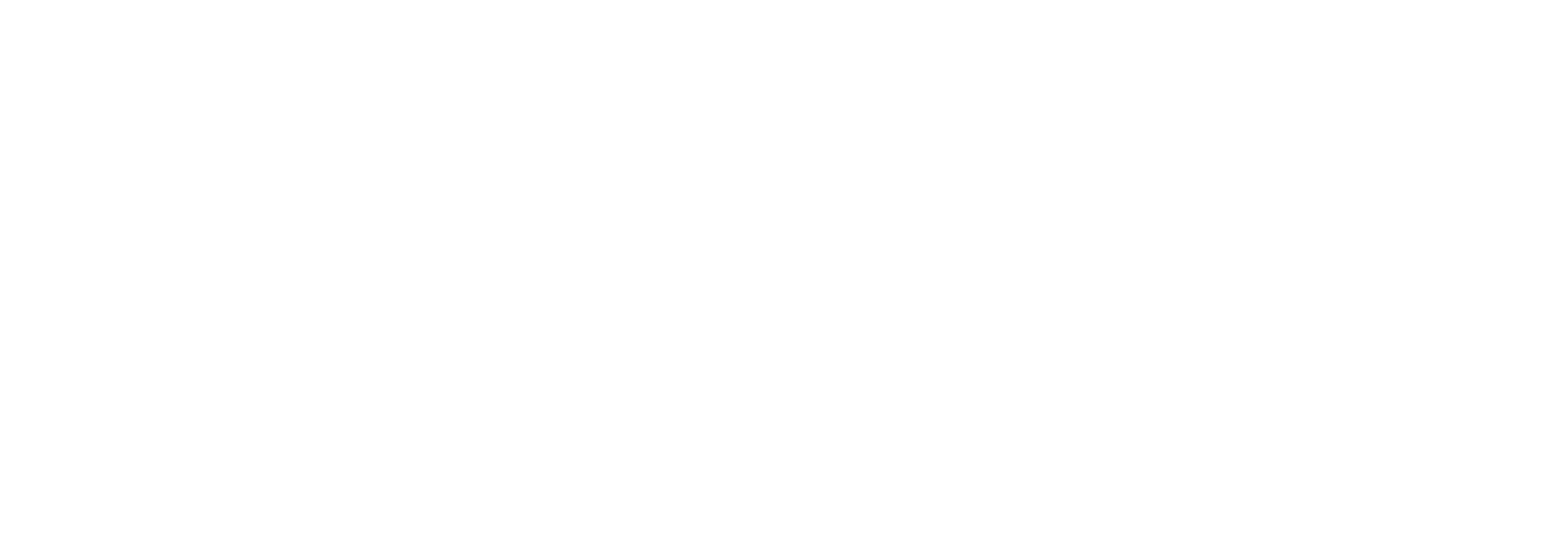 Logo EFY 1 - blanco